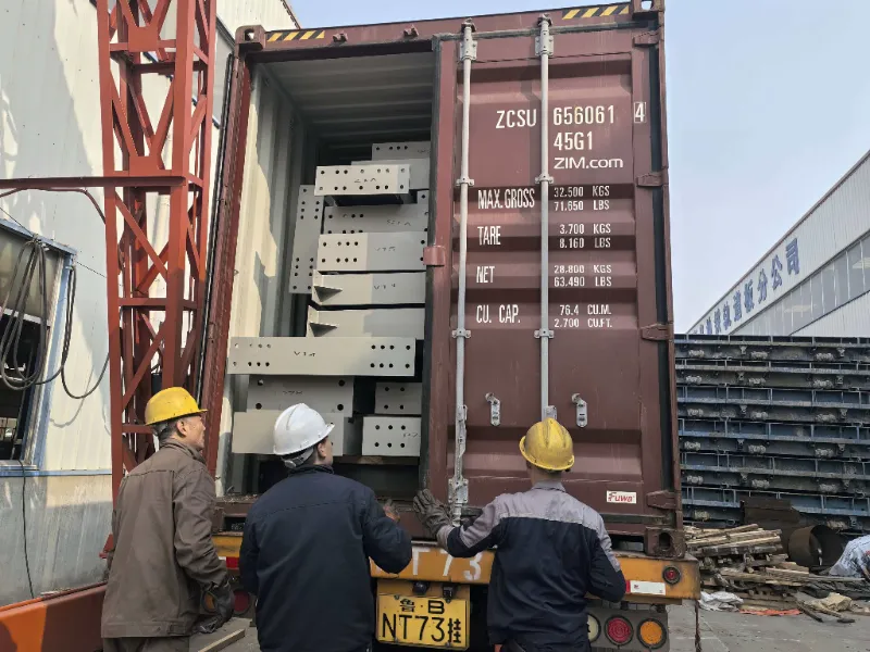 Çilidə Böyük Miqyaslı Polad Anbar Layihəsi üçün Polad Konstruksiya Komponentləri Yerli Logistika Mərkəzinin Tikintisini Dəstəkləyən Uğurla Göndərildi