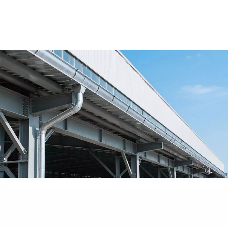 Polad quruluşu bağırsaq